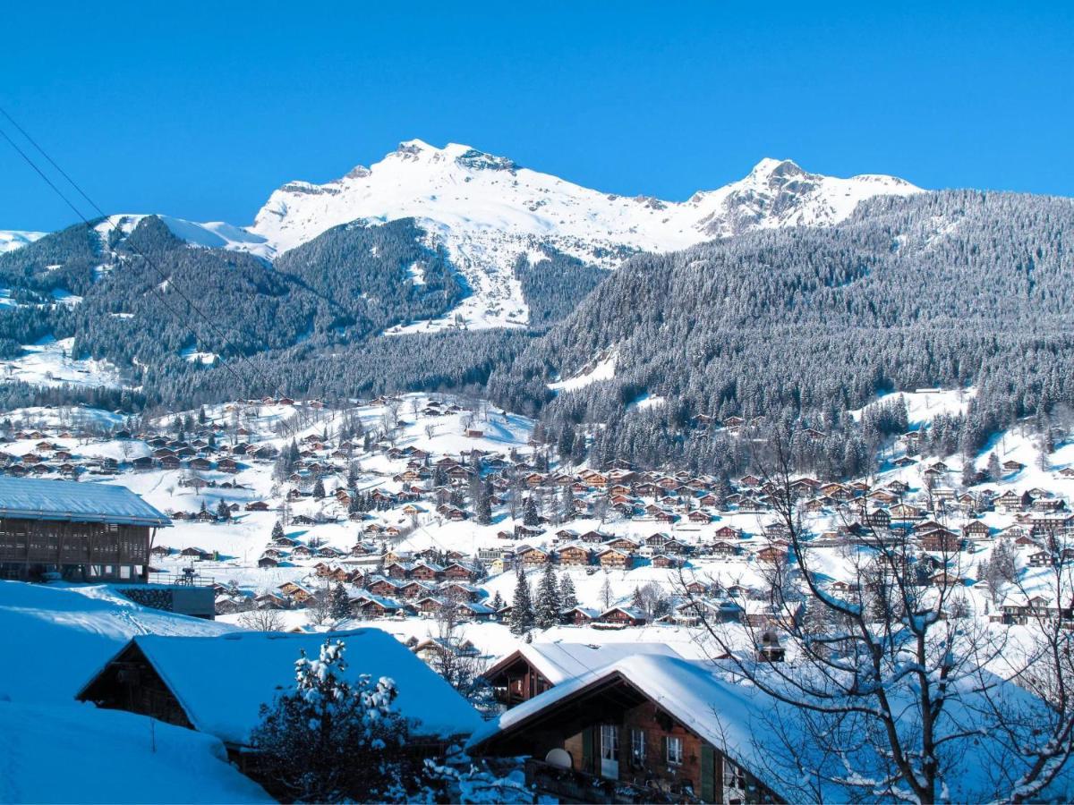 Apartment Chalet Unterpfand 10 Grindelwald Exterior foto