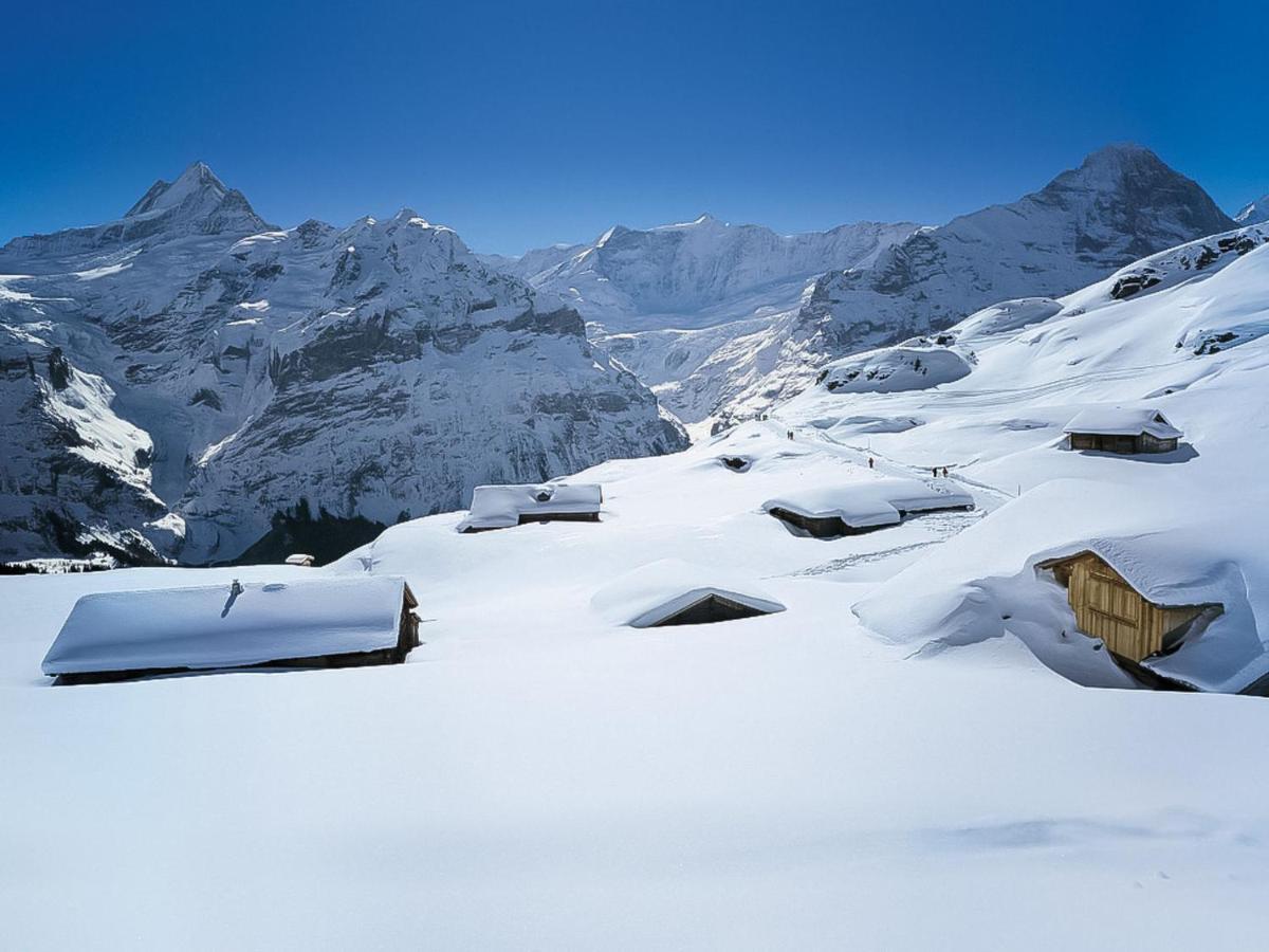 Apartment Chalet Unterpfand 10 Grindelwald Exterior foto