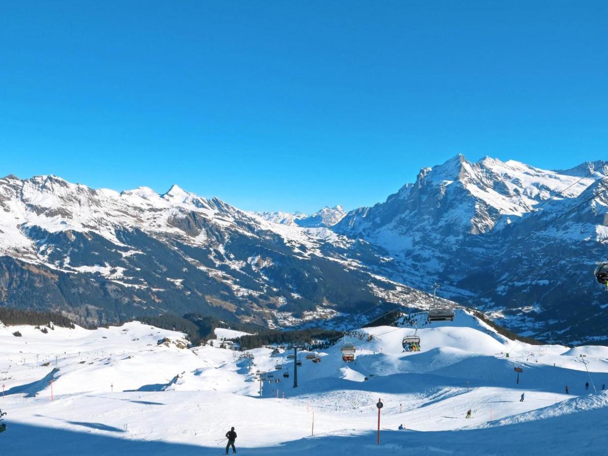 Apartment Chalet Unterpfand 10 Grindelwald Exterior foto